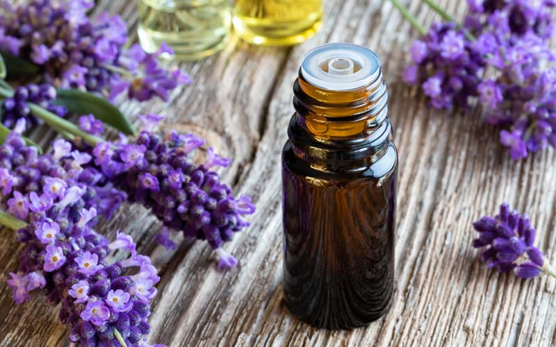 LAVENDER-OIL-FOR-DANDRUFF