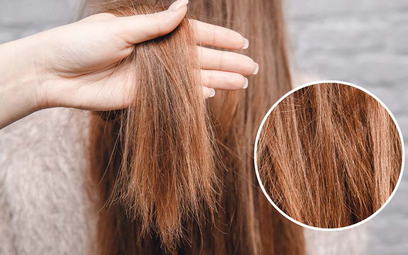 Preventing-hair-from-damage Preventing-hair-from-damage